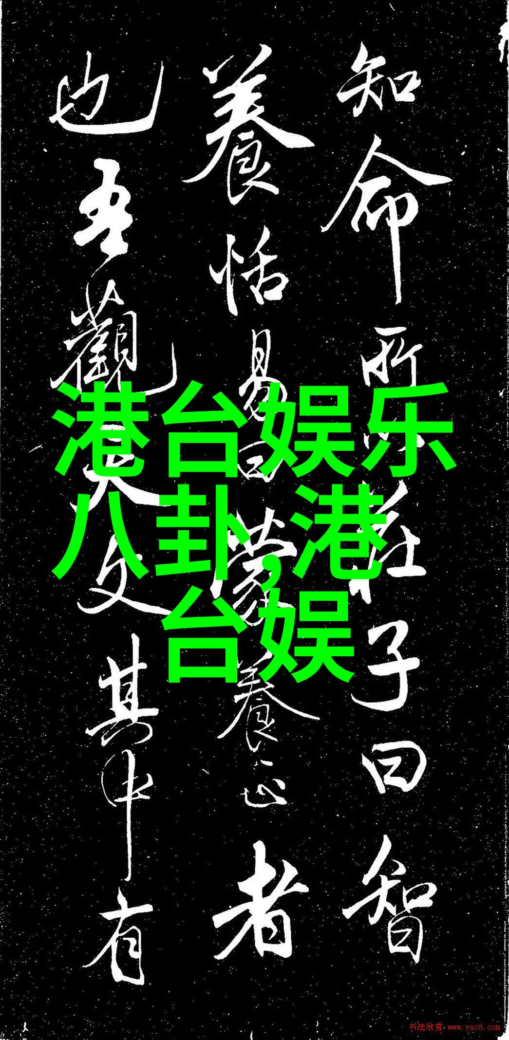 未婚夫获颁法国荣誉军团勋章 杨紫琼赴法国力挺