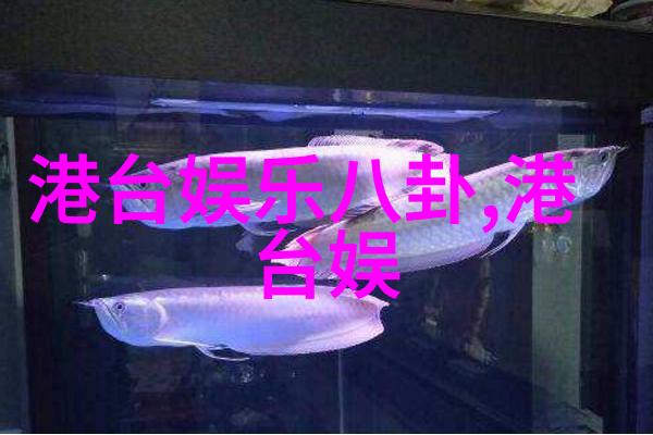 罗嘉良年底在京办婚宴 赞老婆苏岩是好女人