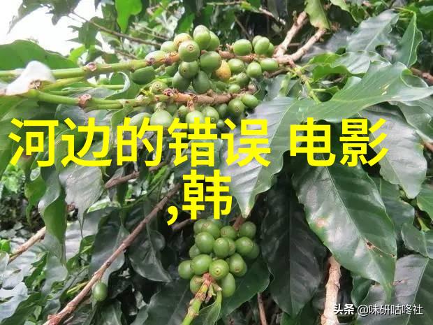 黄子弘凡那年夏天的秘密定档1月2 首部影视作品挑战男主角